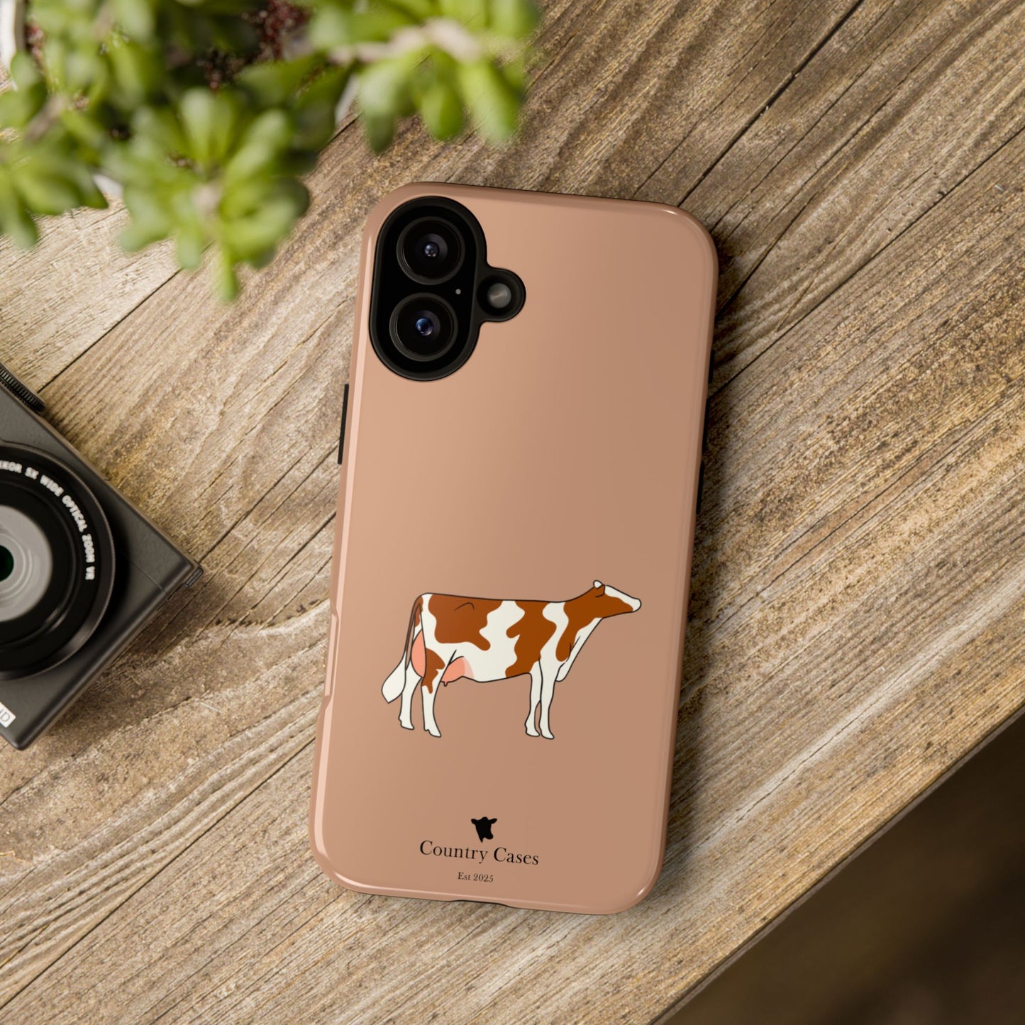 Red and white Holstein case