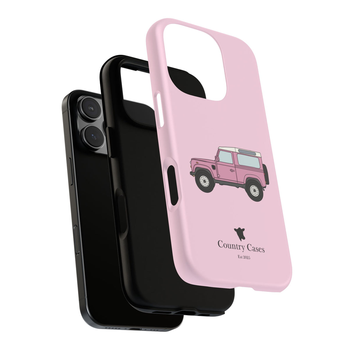 Pink Landy 2.0 case