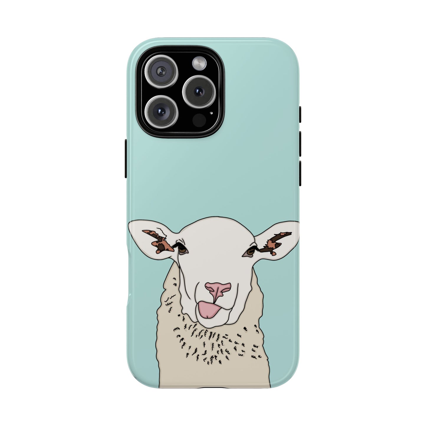 Silly sheep case