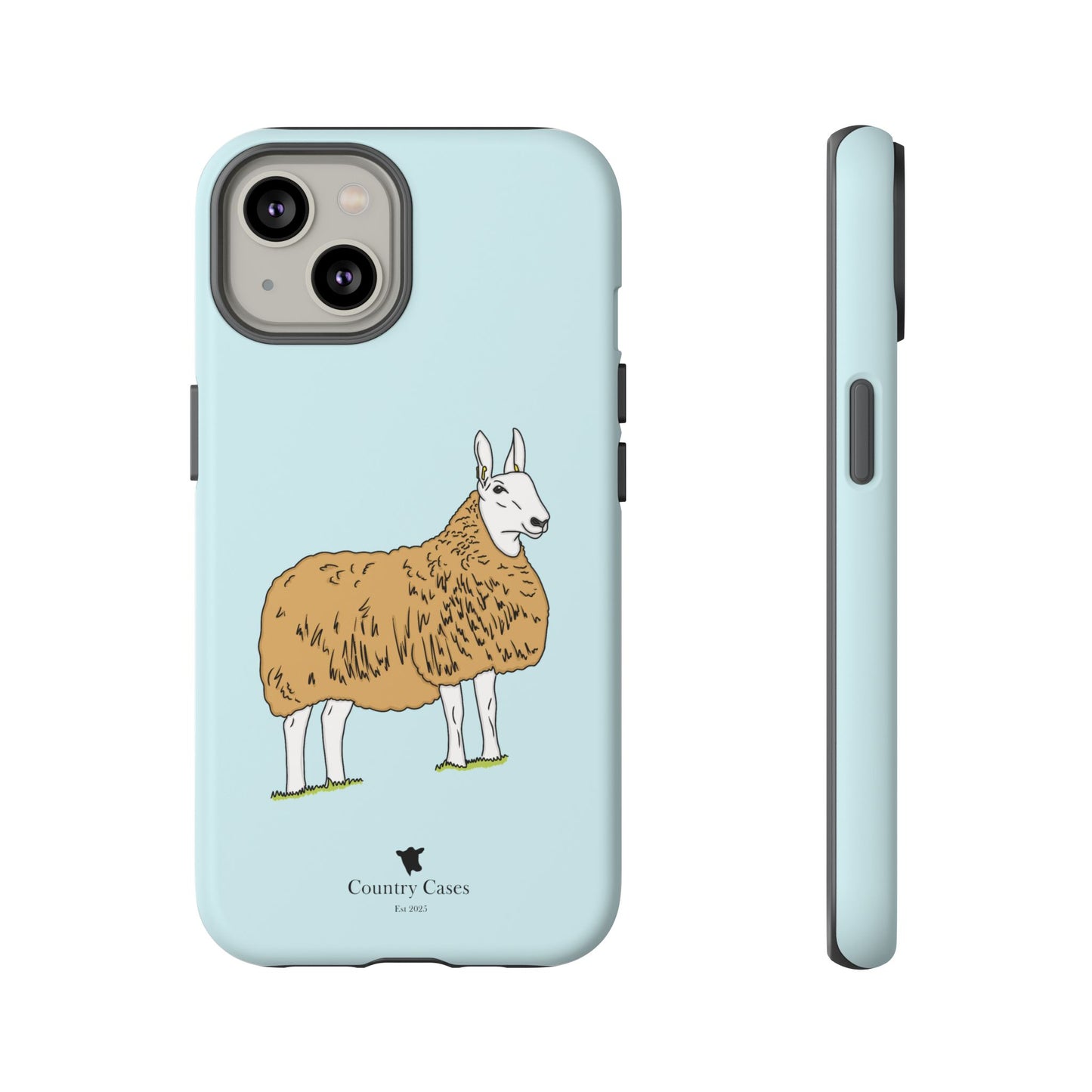 Border Leicester case