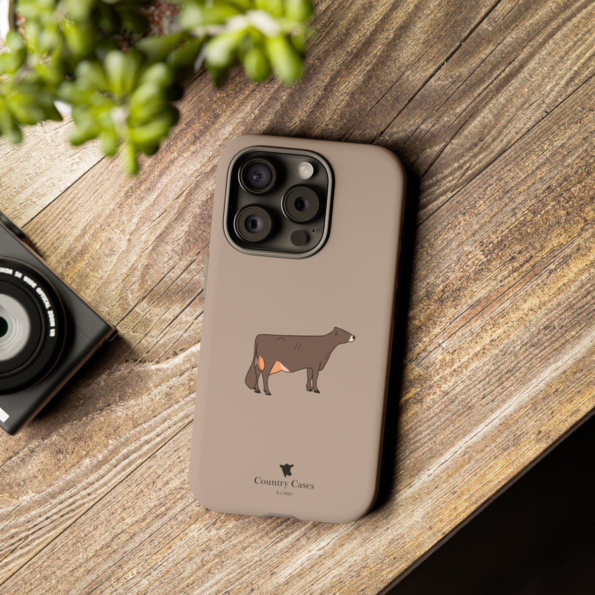 Brown Swiss Case