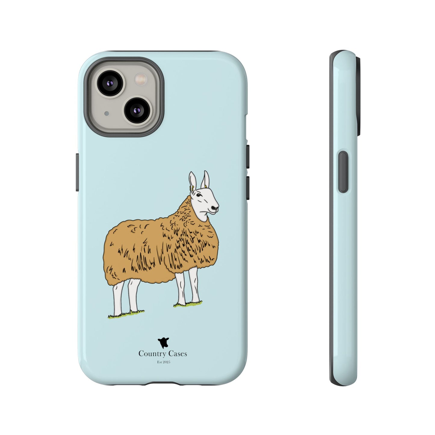 Border Leicester case