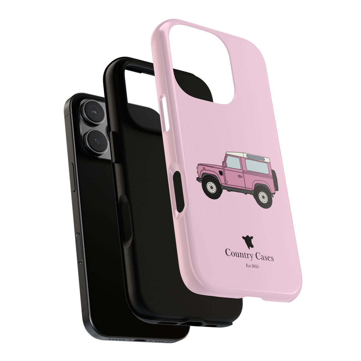 Pink Landy 2.0 case