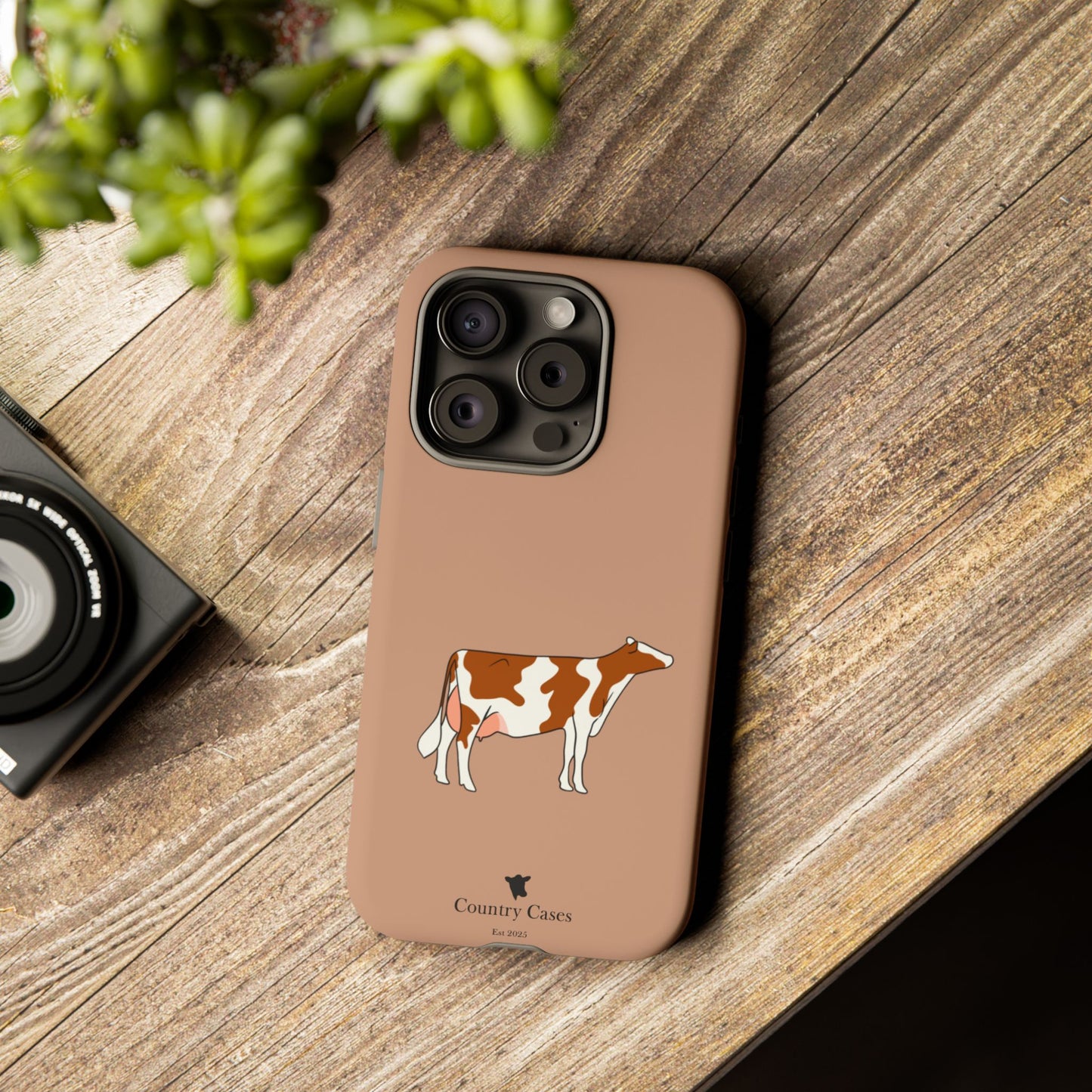 Red and white Holstein case