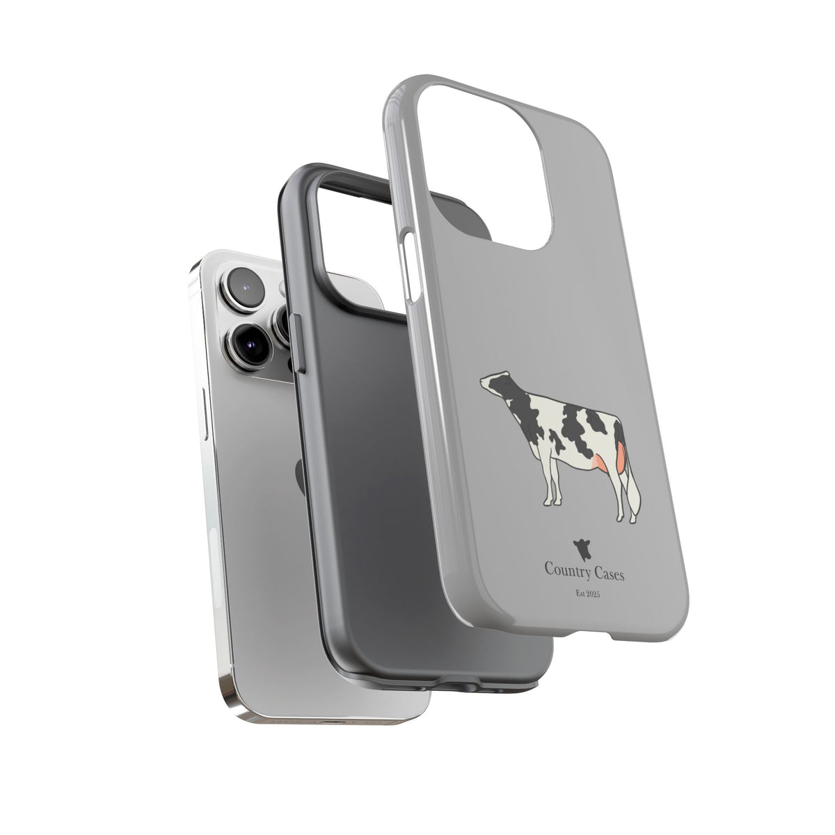 Black Holstein Case