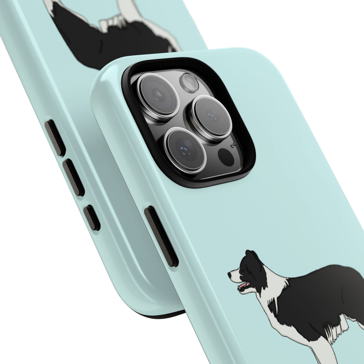 Collie Case