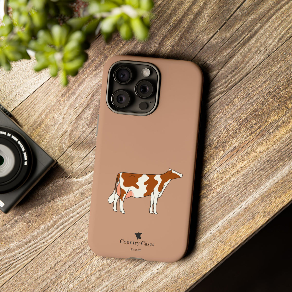 Red Holstein Case