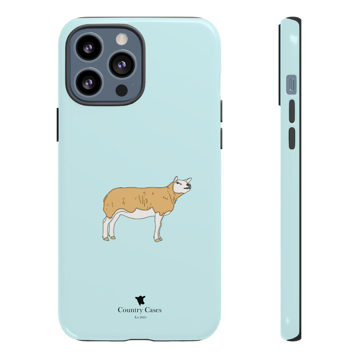 Texal Case