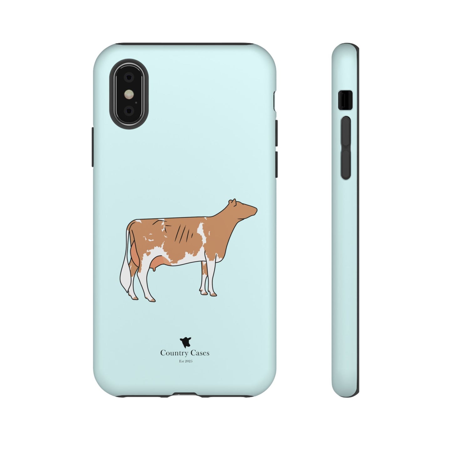 Gurnsey case