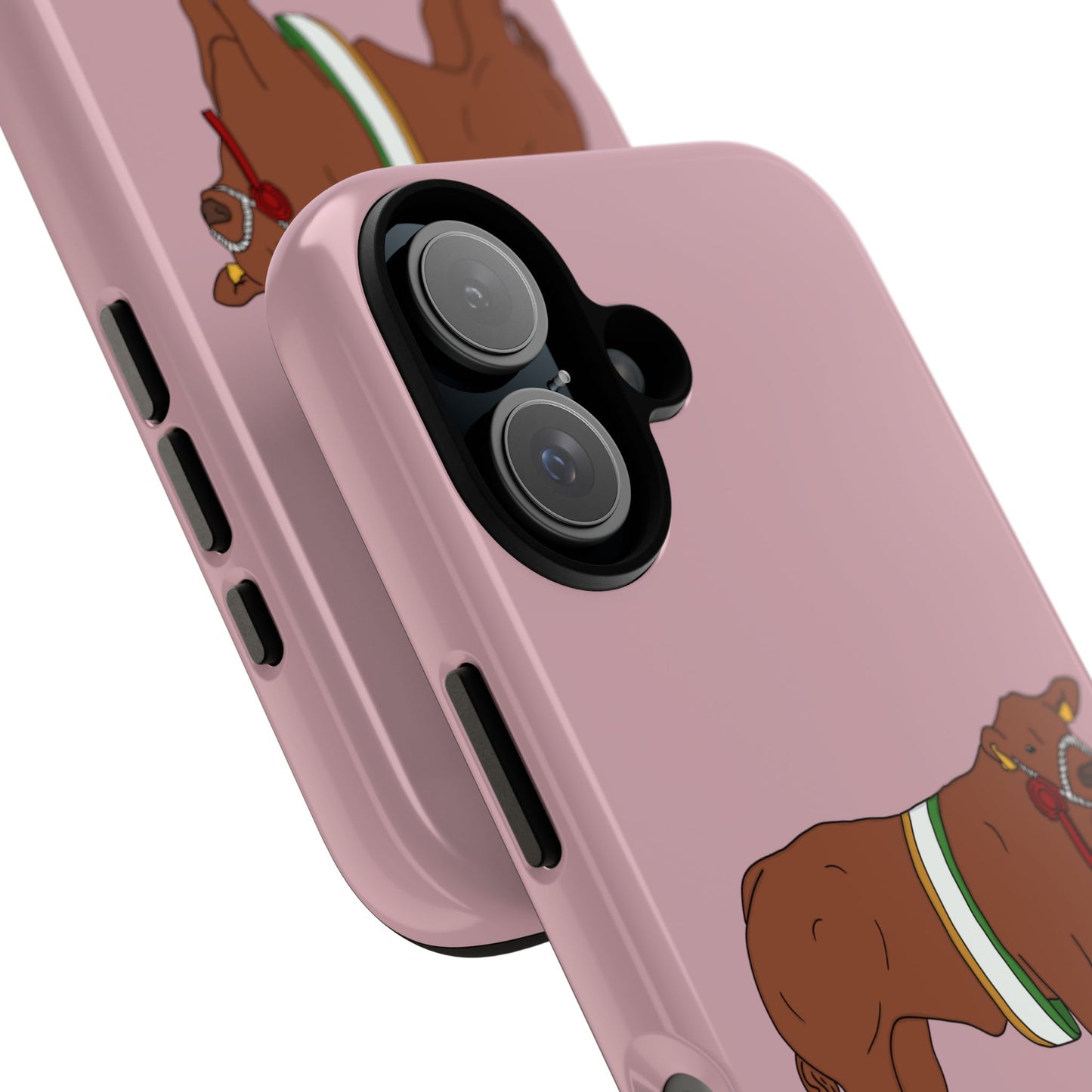 Saoirse Custom Case
