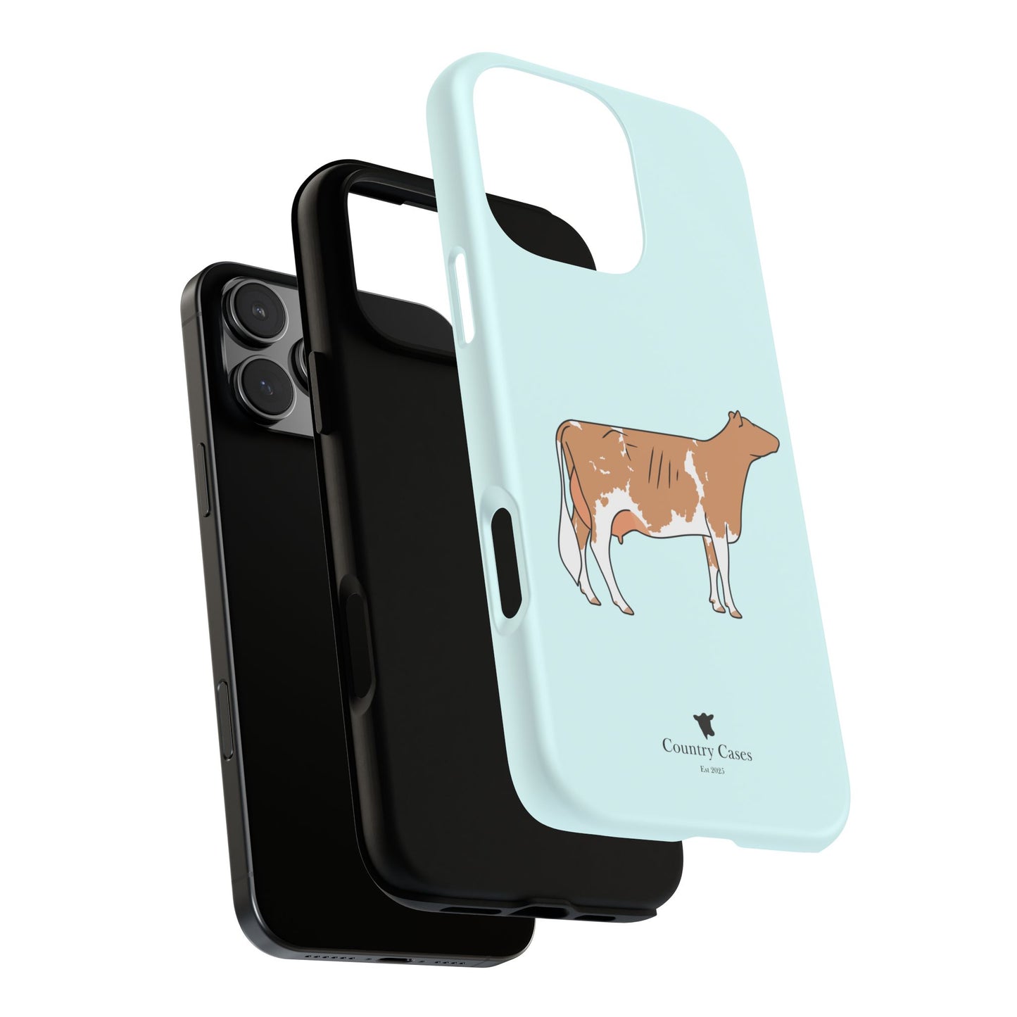 Gurnsey case