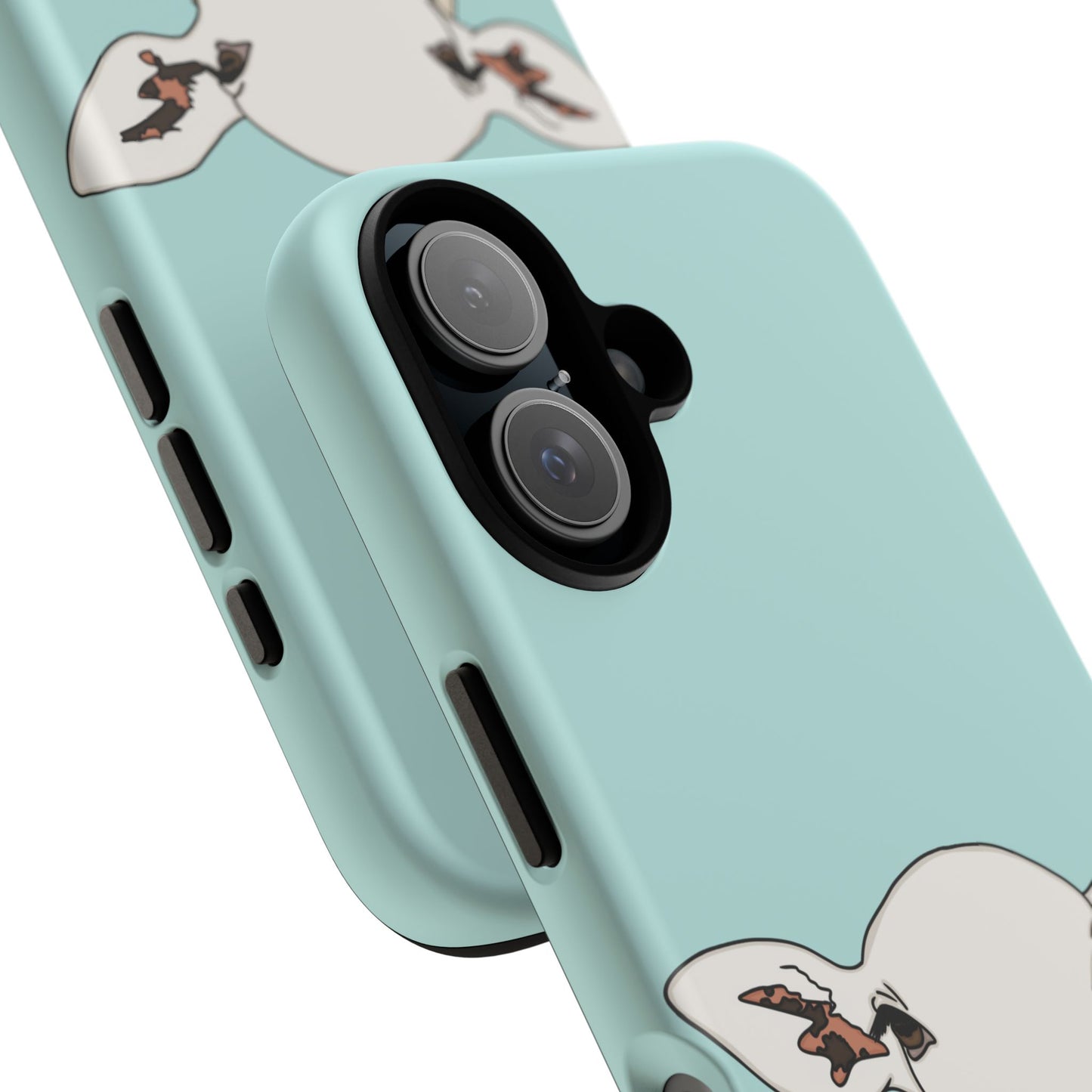 Silly sheep case
