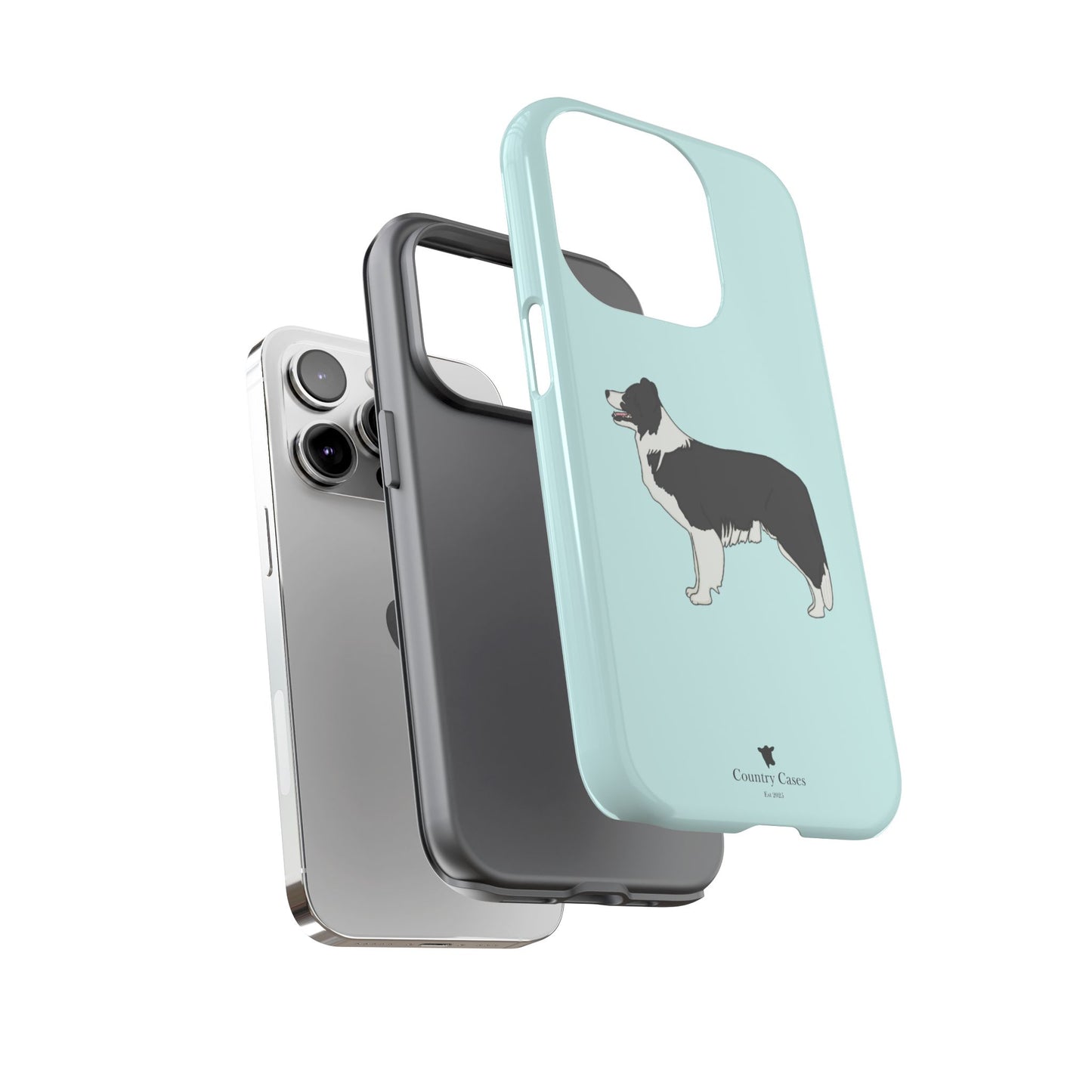 Collie case
