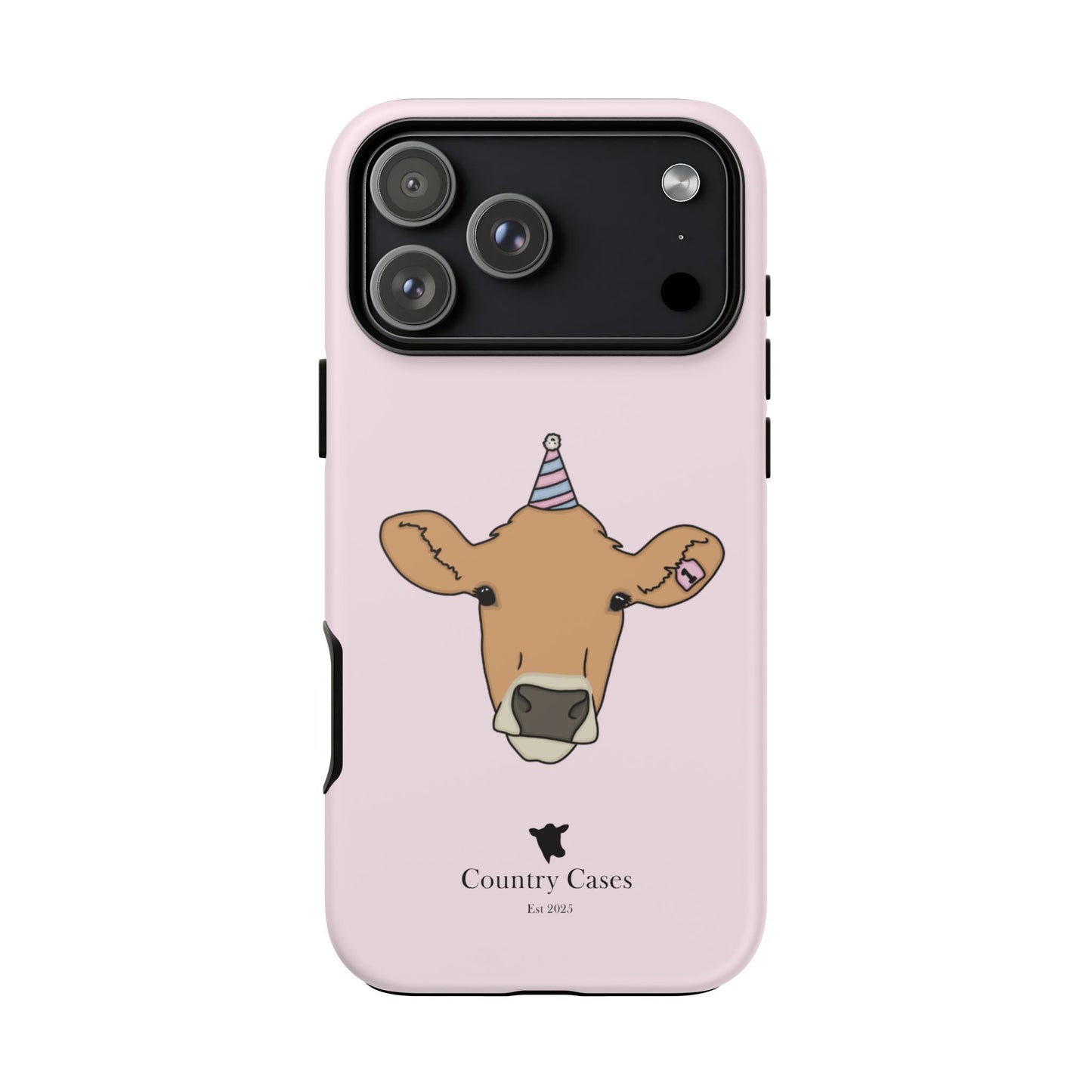 Pink Birthday Case
