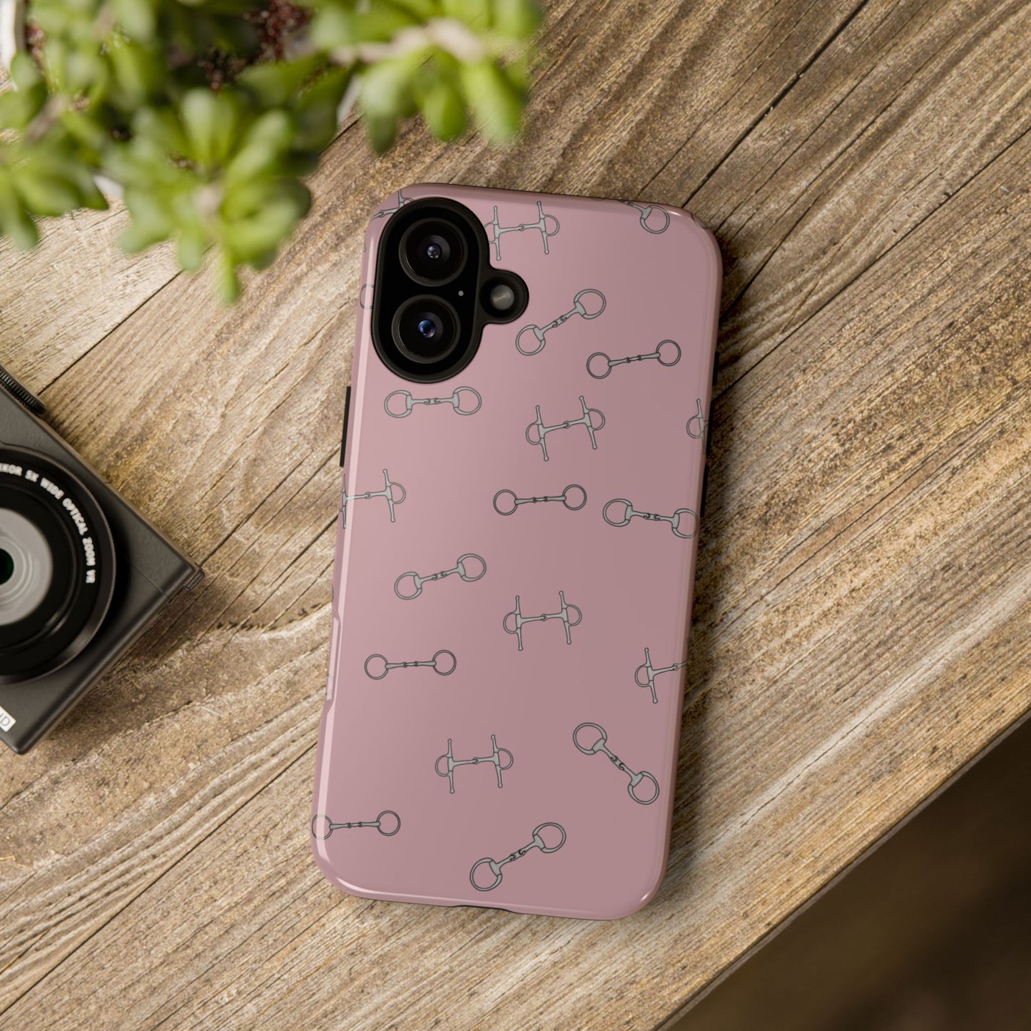 Bridleway Case