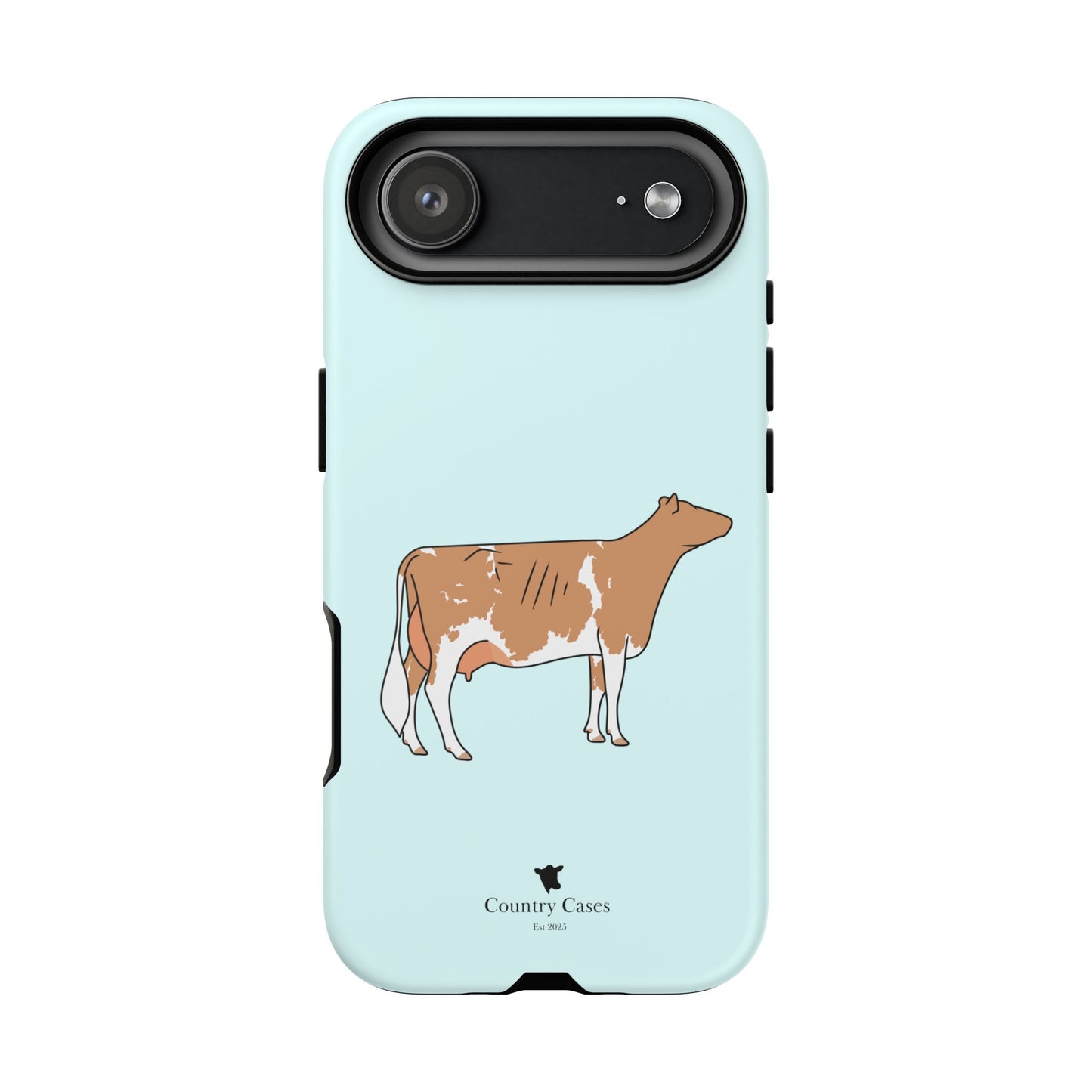 Gurnsey case