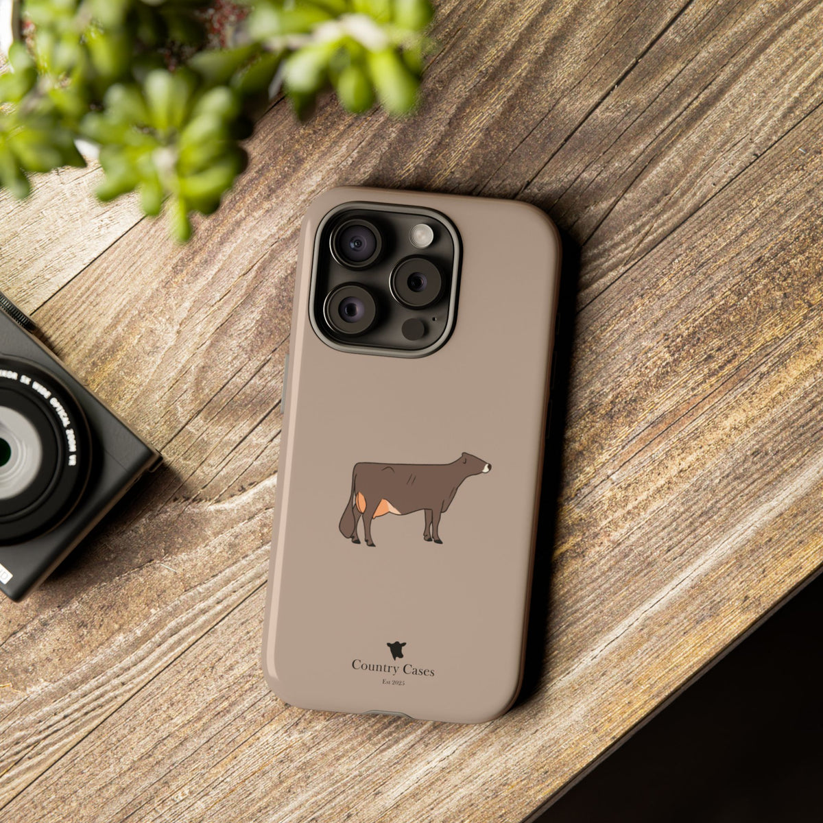 Brown Swiss Case