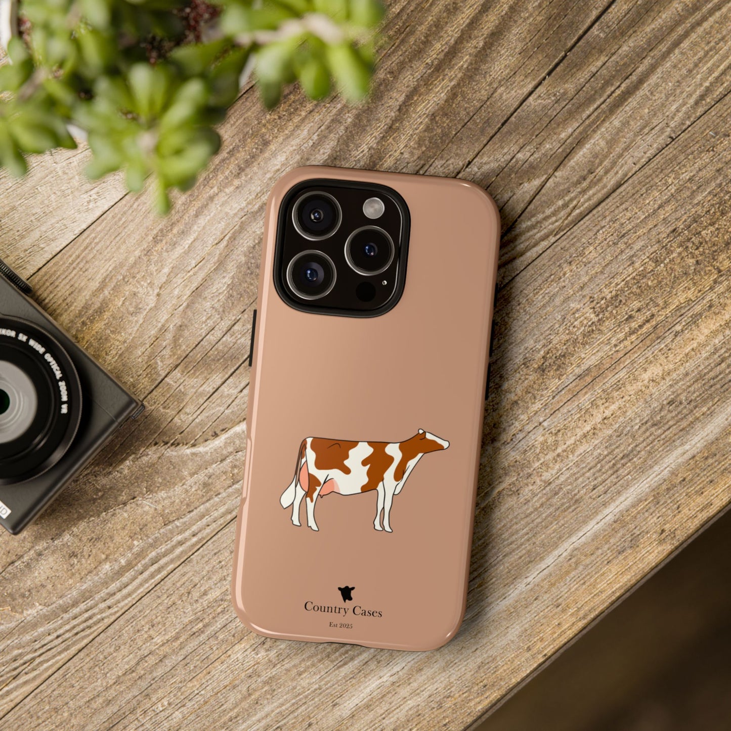 Red and white Holstein case