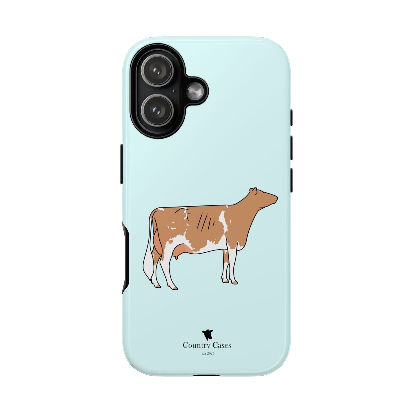 Gurnsey case