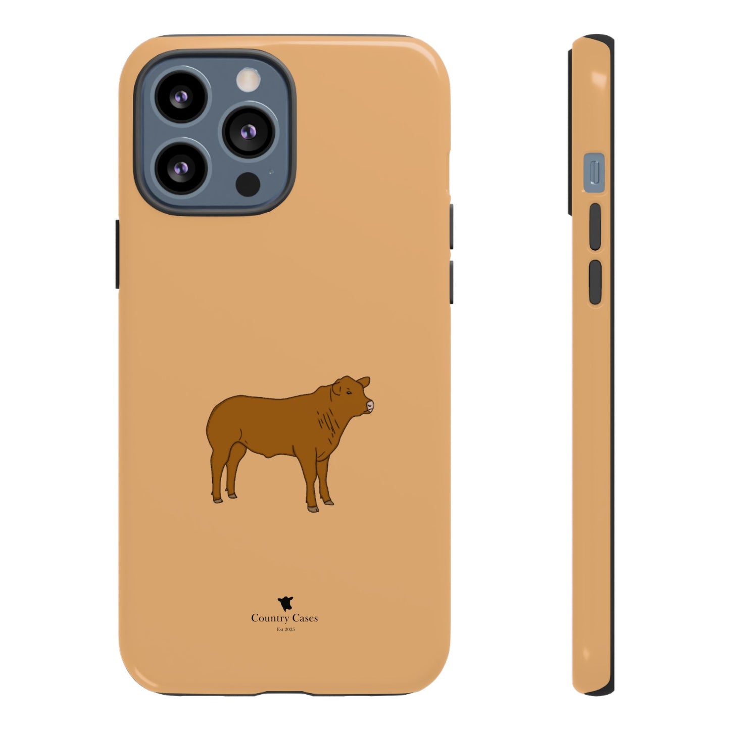 Beef cow case