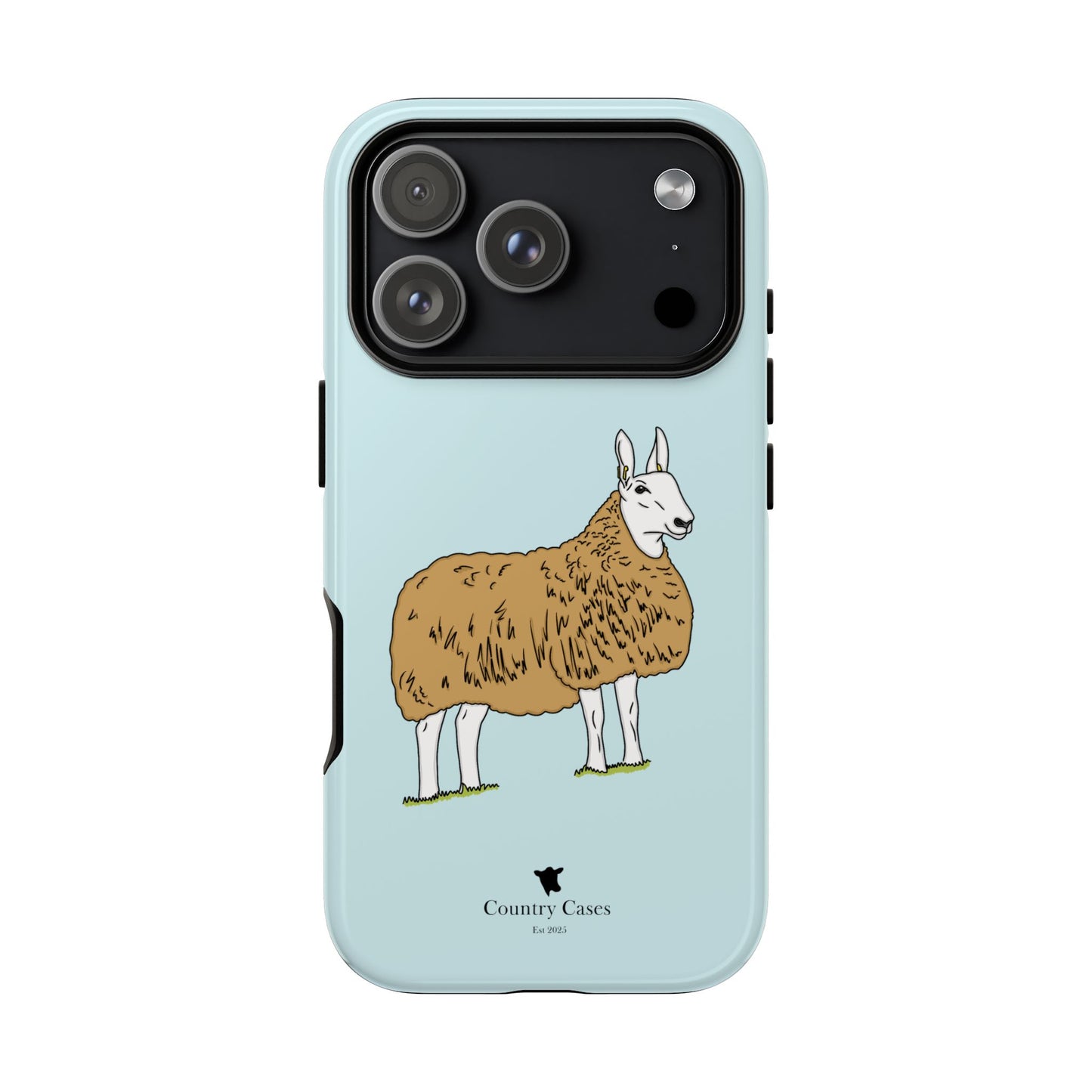 Border Leicester case