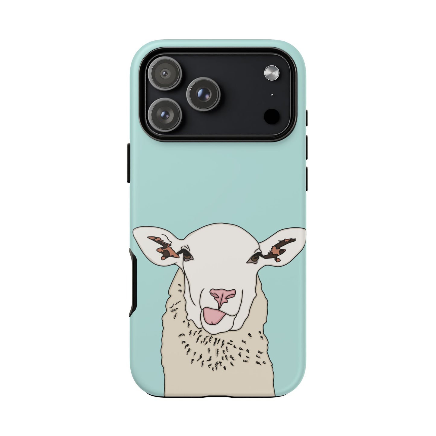 Silly sheep case