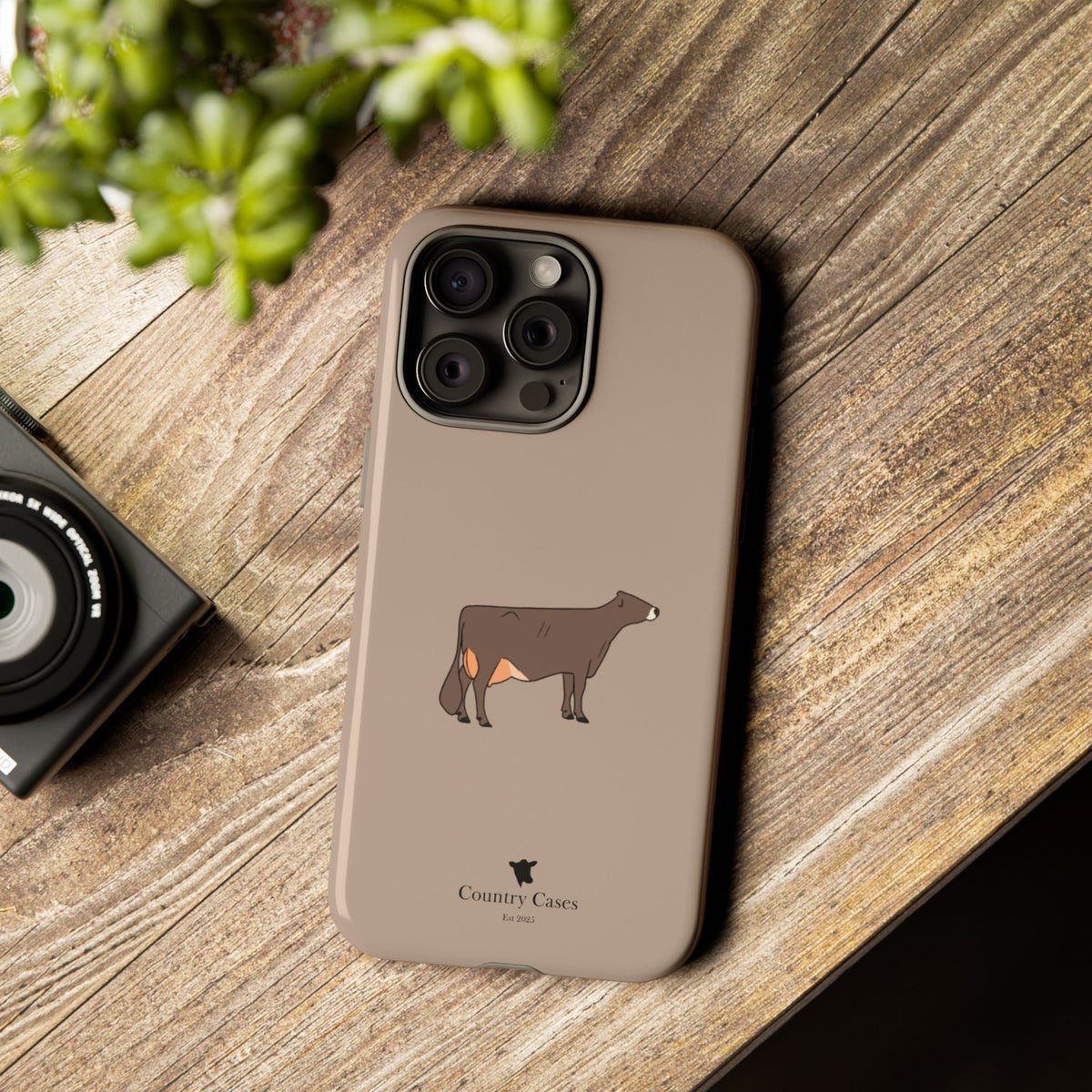 Brown Swiss Case