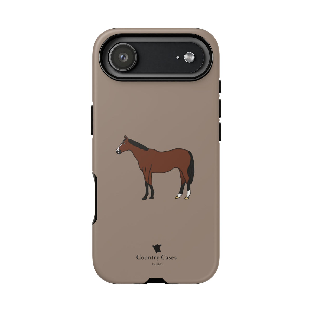 Bay Horse Case