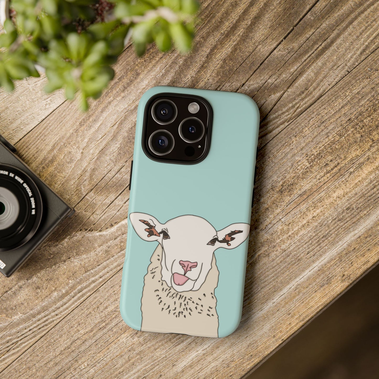Silly sheep case