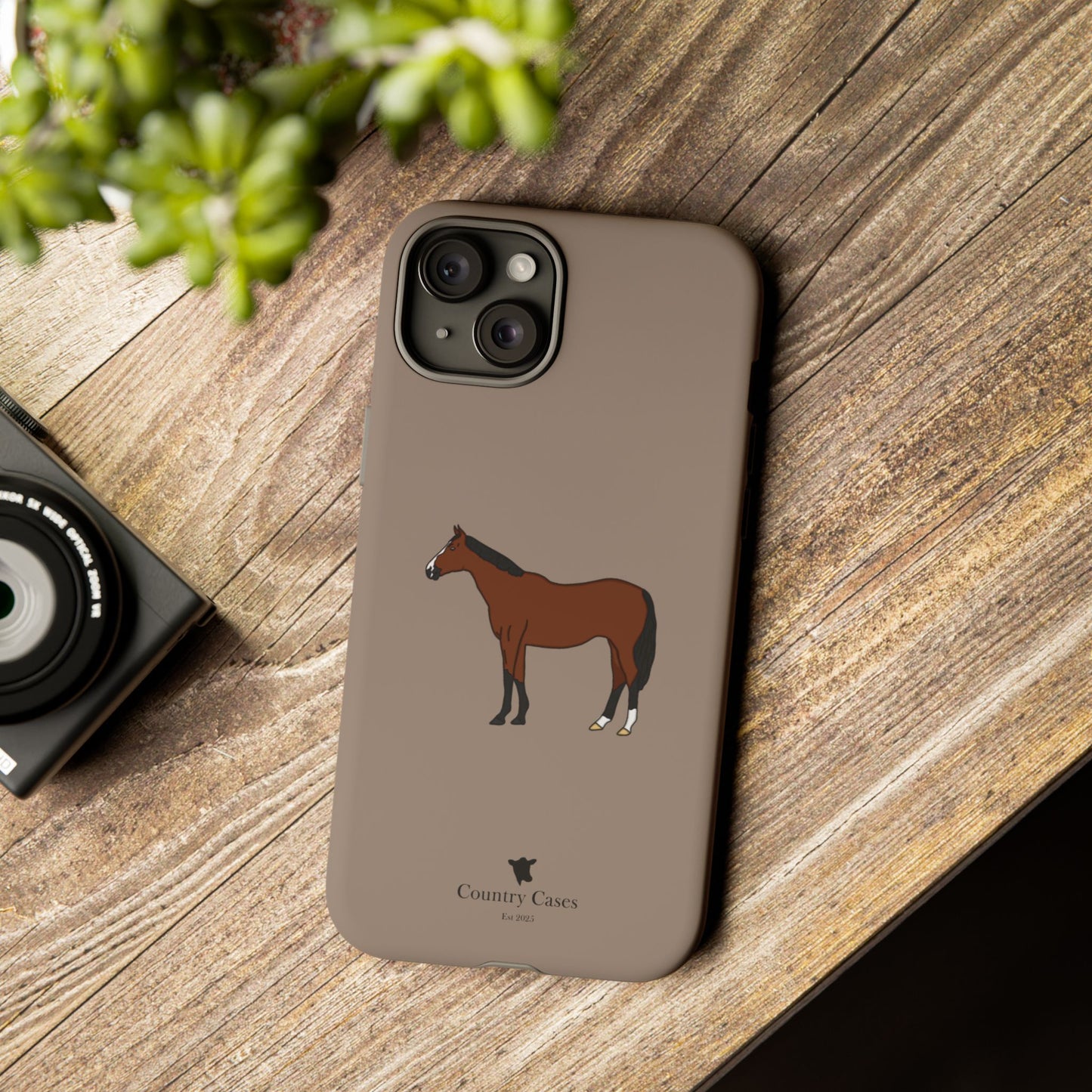 Bay horse case