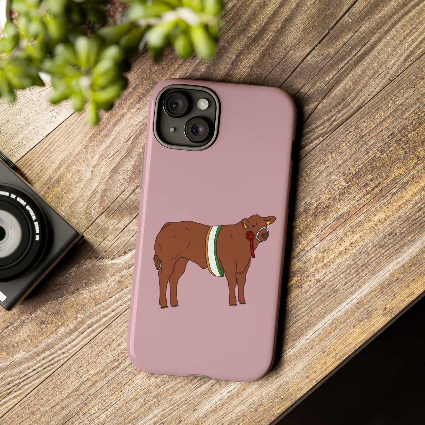 Saoirse Custom Case