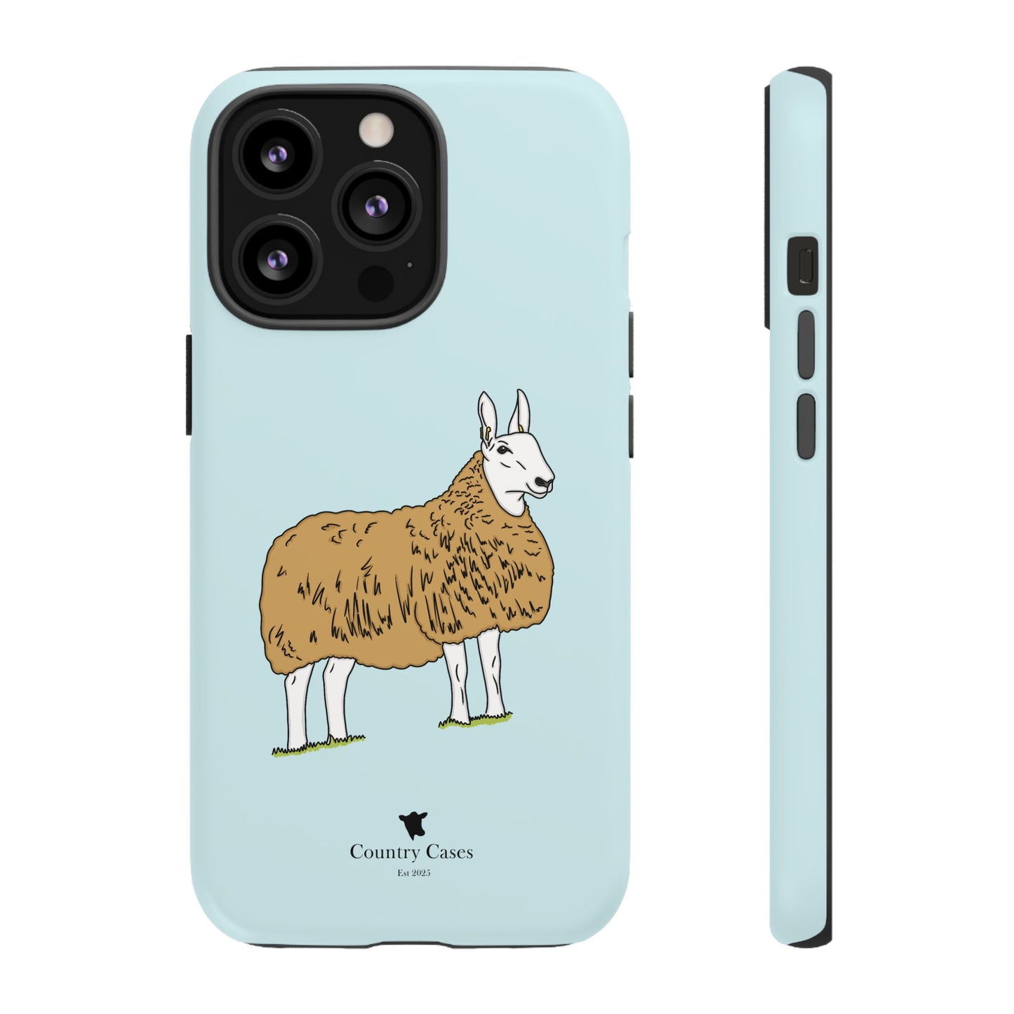 Border Leicester case