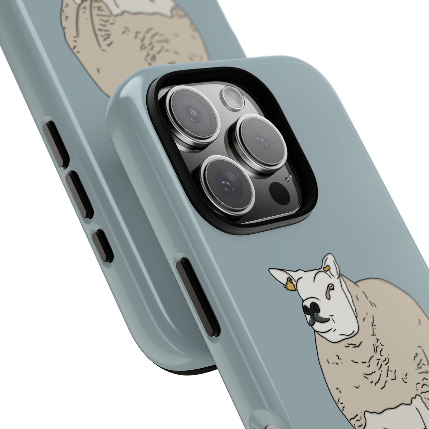 Shepherd Beltex Case