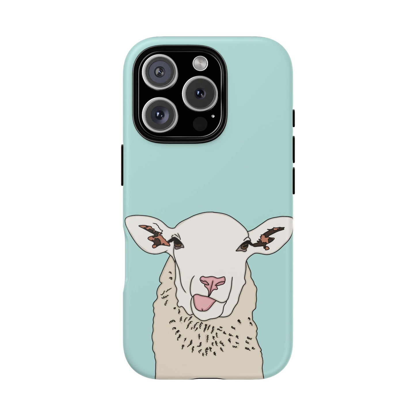 Silly sheep case