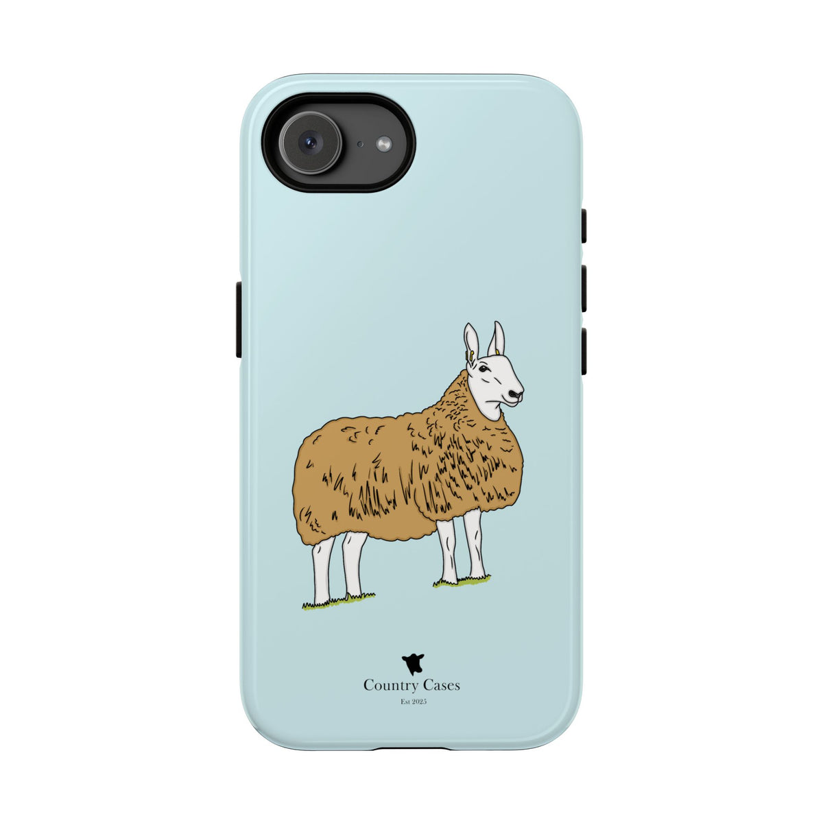Border Leicester case