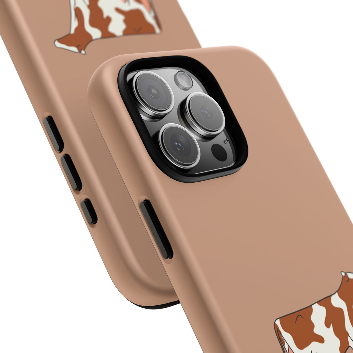 Red Holstein Case