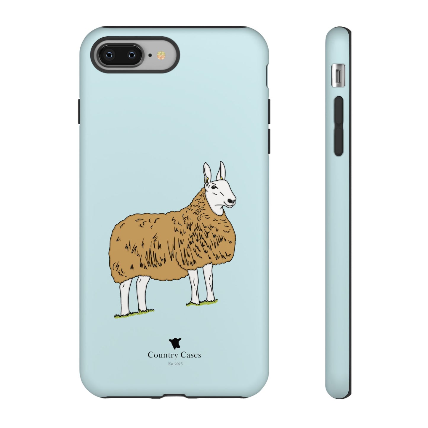 Border Leicester case