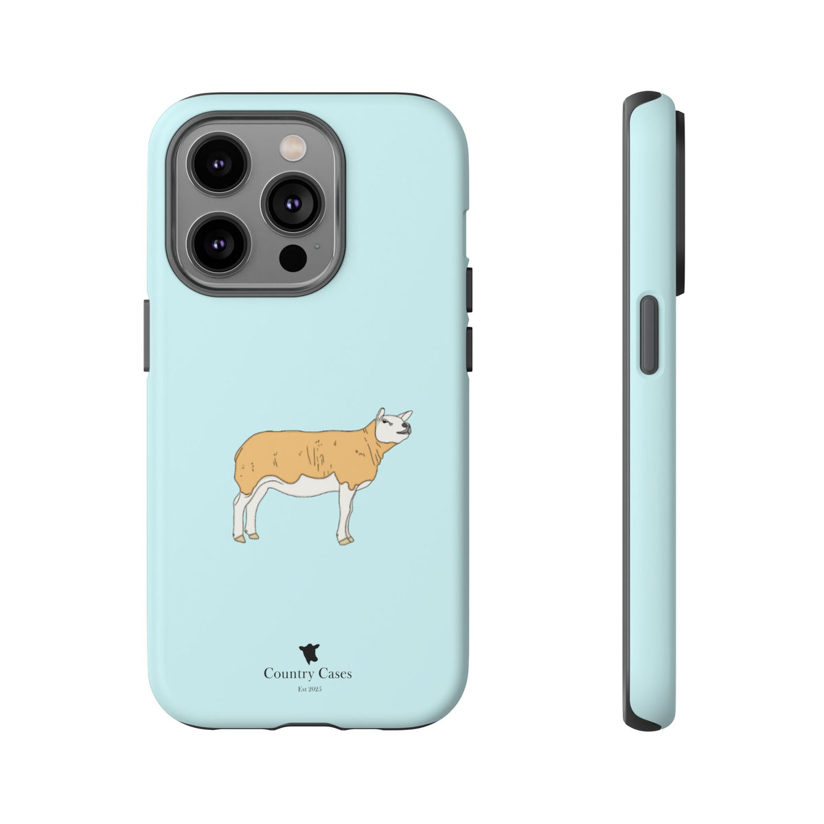 Texal Case