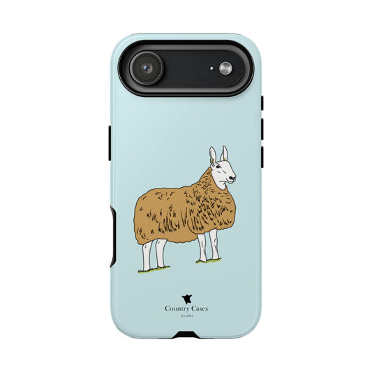 Border Leicester case