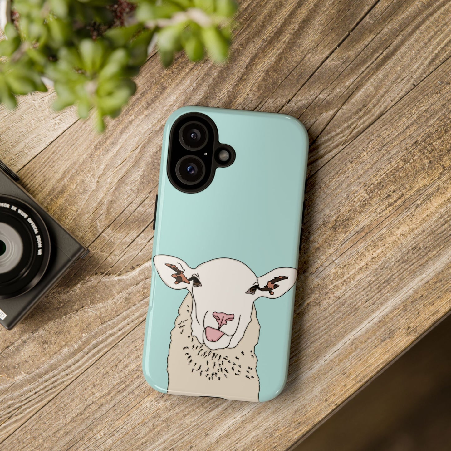 Silly sheep case