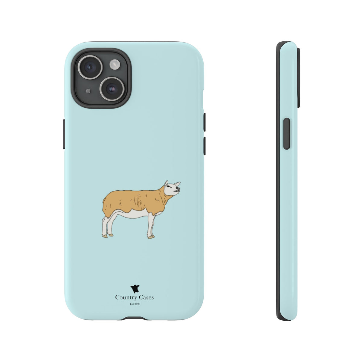 Texal Case