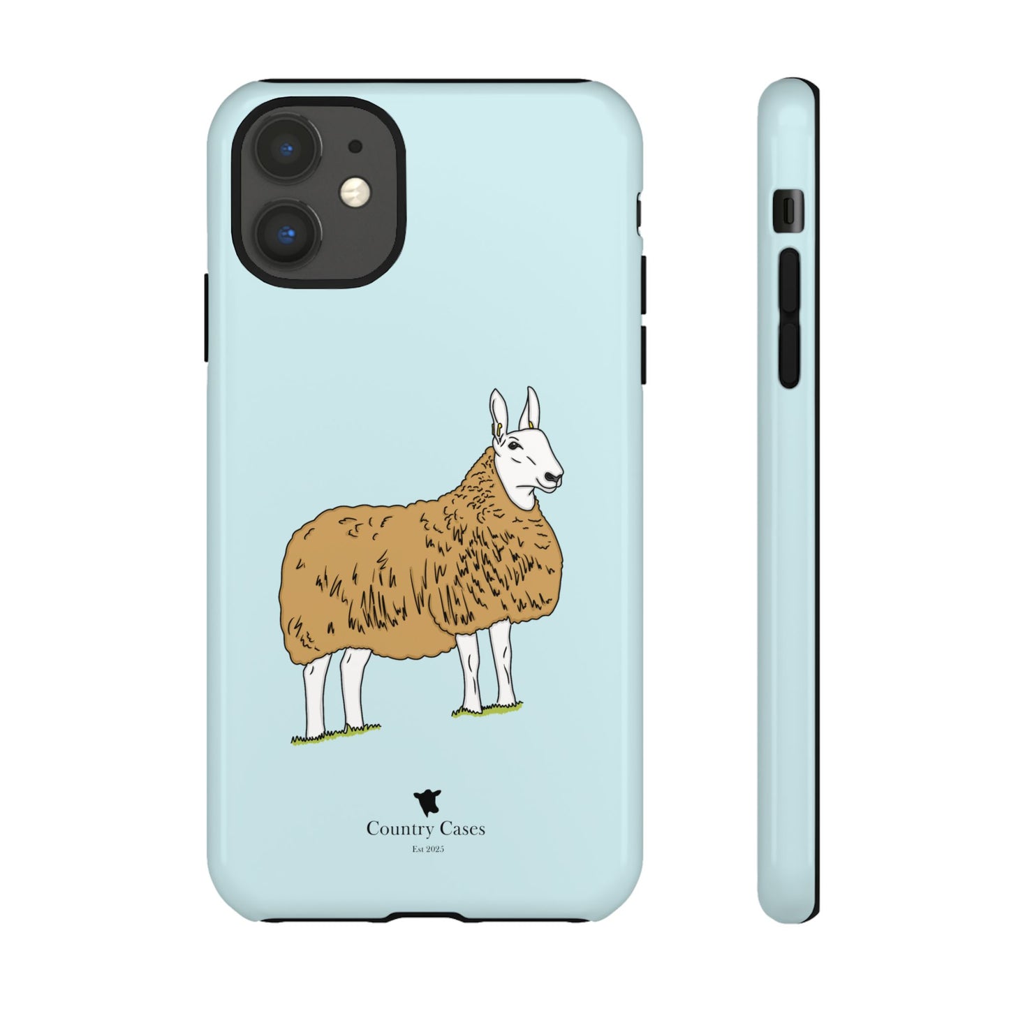 Border Leicester case