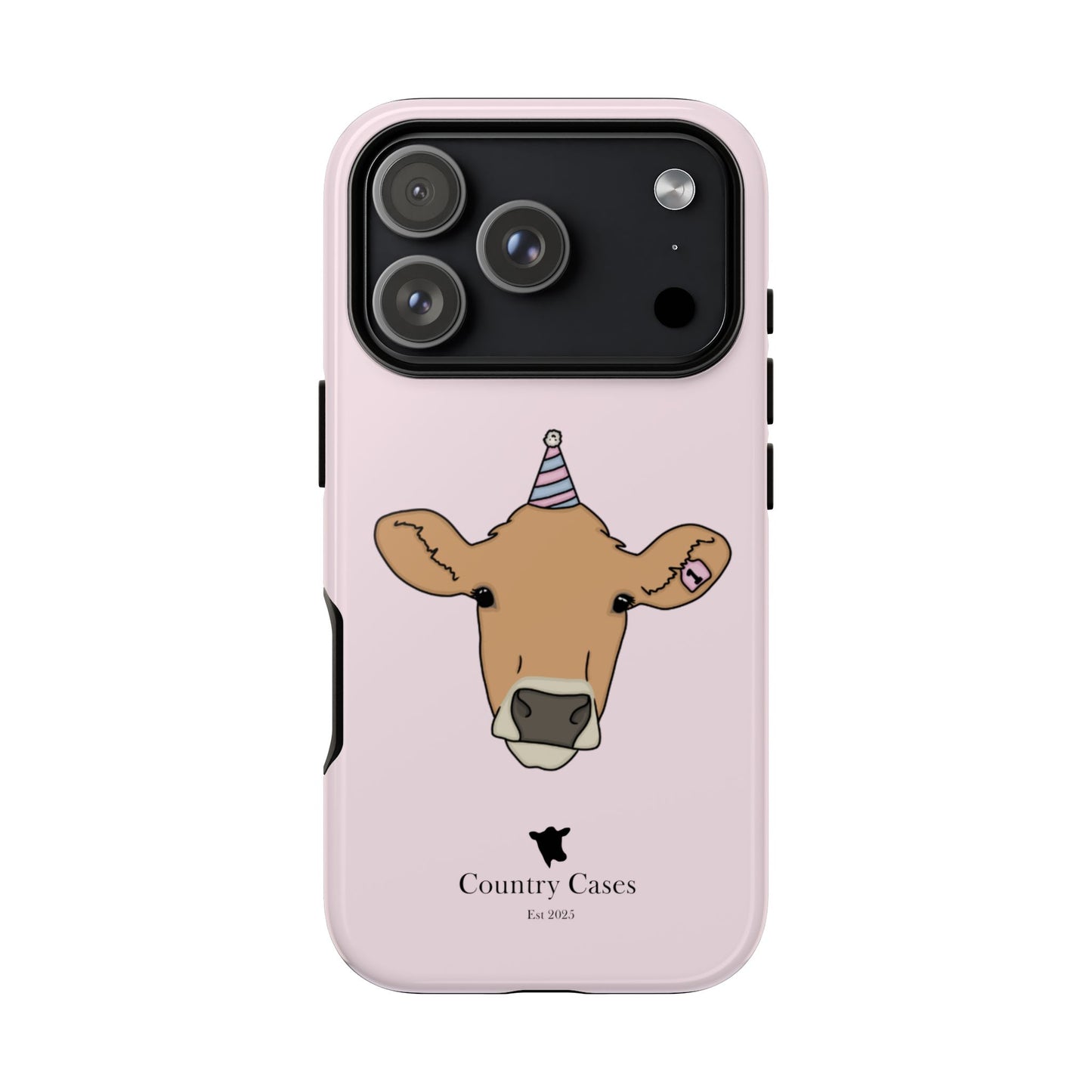 Pink Birthday Case