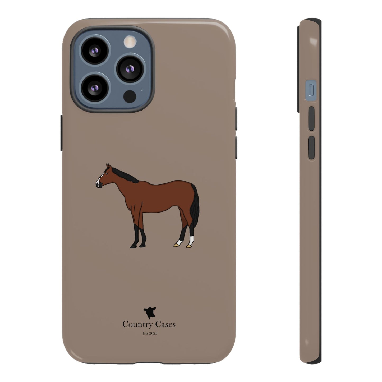 Bay horse case