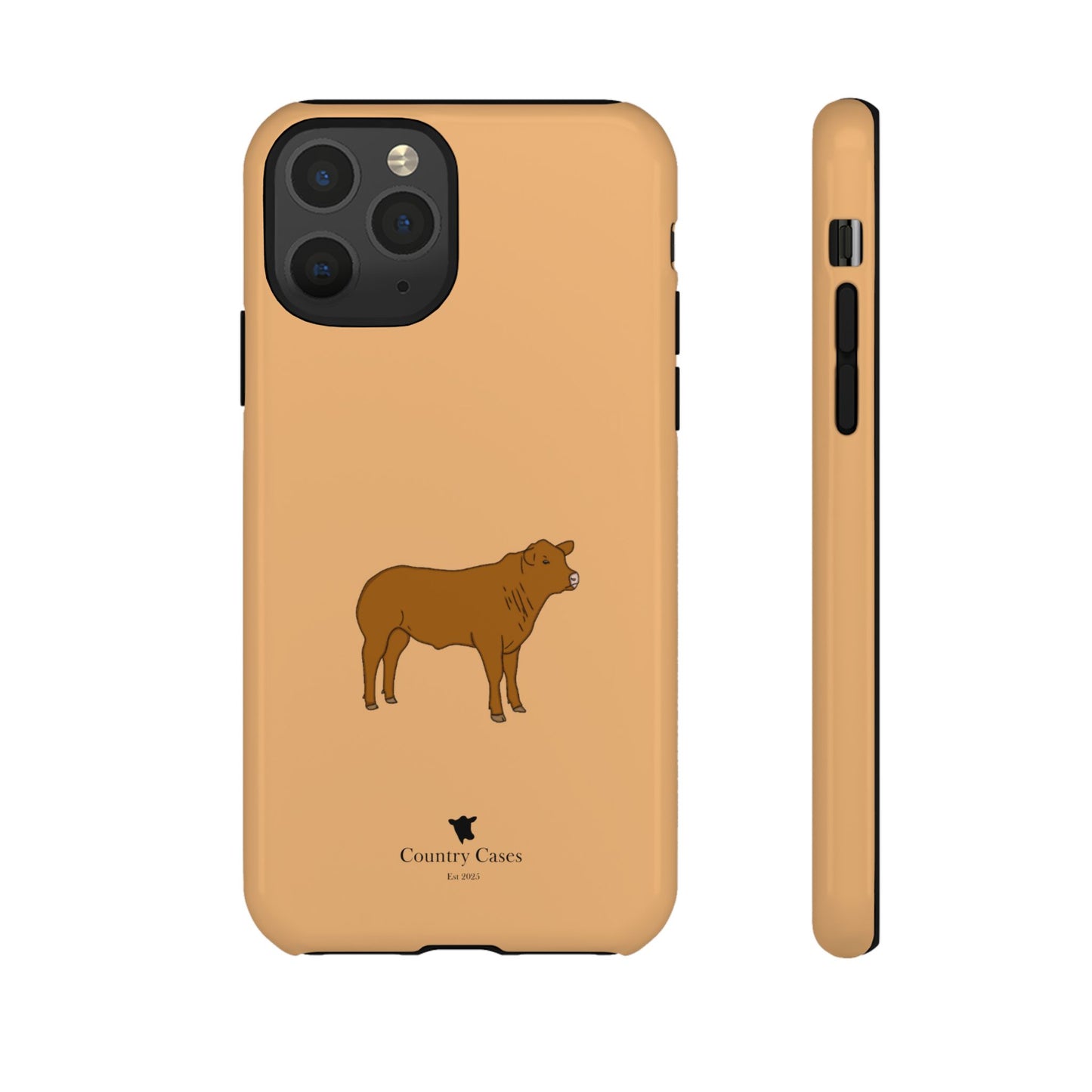 Beef Cow Case