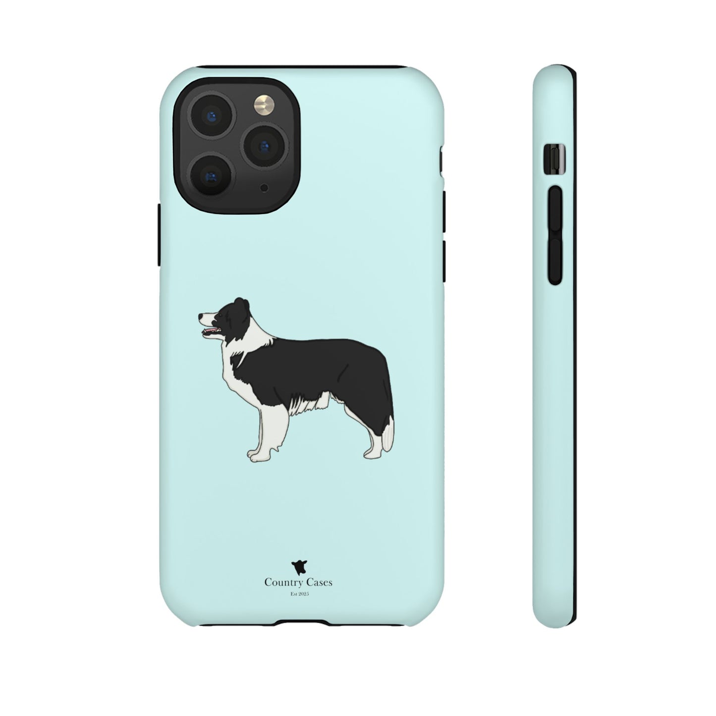 Collie case