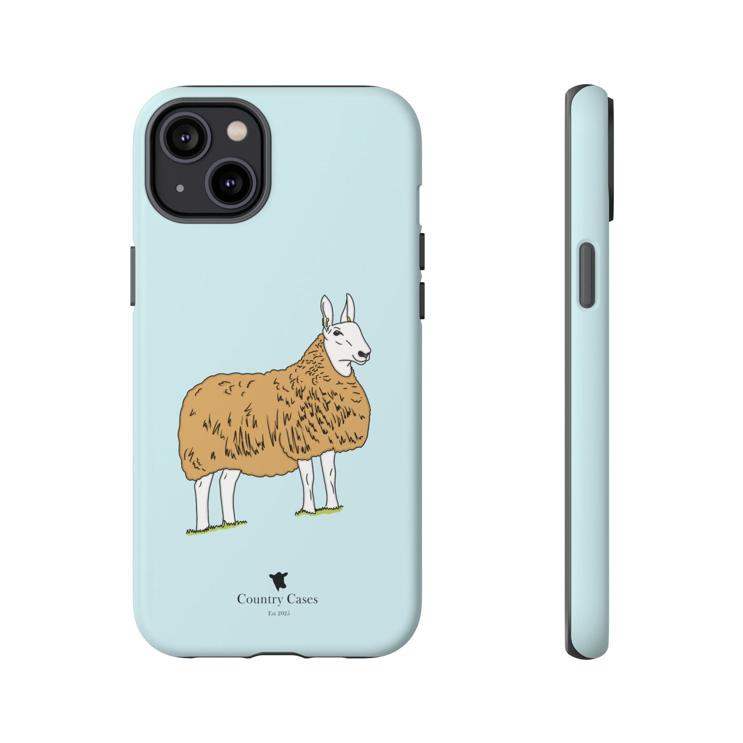 Border Leicester case