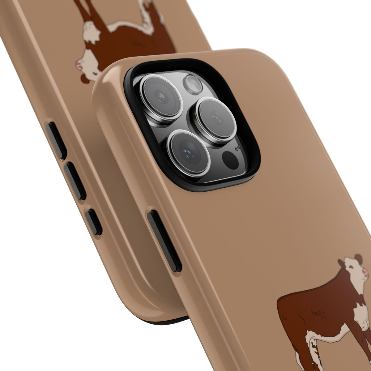Hereford Case