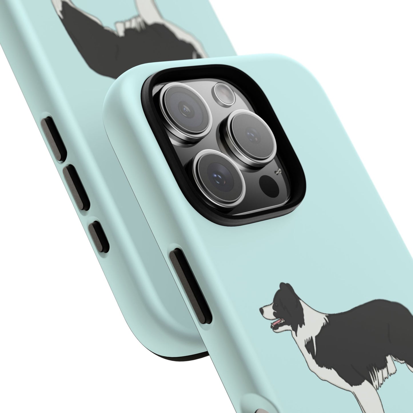 Collie case