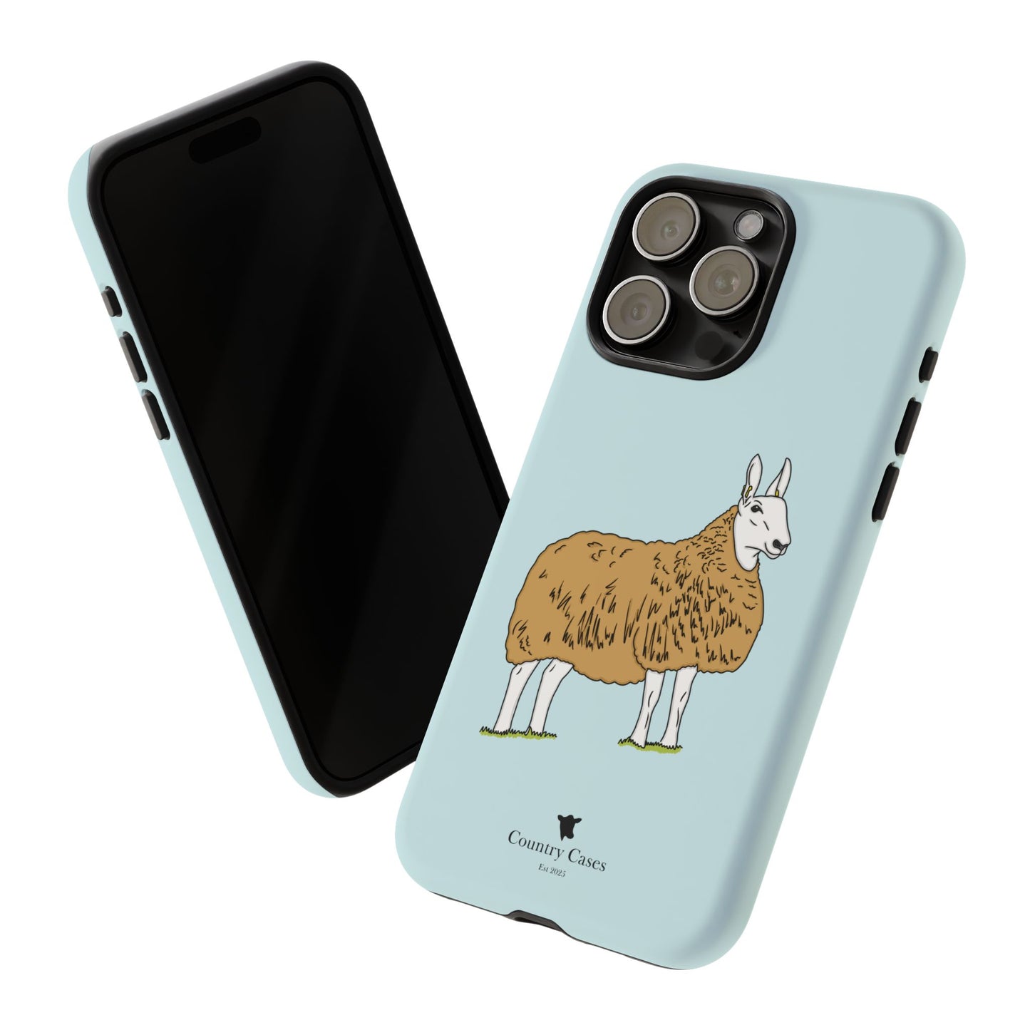 Border Leicester case